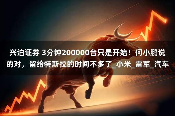 兴泊证券 3分钟200000台只是开始！何小鹏说的对，留给特斯拉的时间不多了_小米_雷军_汽车
