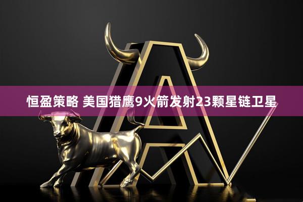 恒盈策略 美国猎鹰9火箭发射23颗星链卫星